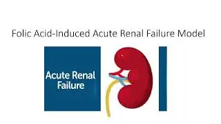 Folic Acid-Induced Acute Renal Failure Animal Model: Step-by-Step Protocol Guide