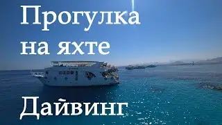 Прогулка на яхте. Дайвинг. Часть 1. Египет. Шарм-Эль-Шейх.