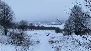Горки на р. Волхов ( ЛИСА)