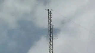 Это Израиль. Цветут люпины.