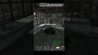 как кормить Медведей в РАСТ / Rust