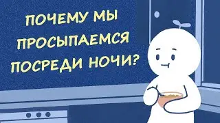 ПОЧЕМУ ВЫ ПРОСЫПАЕТЕСЬ ПОСРЕДИ НОЧИ? | Psych2Go на русском