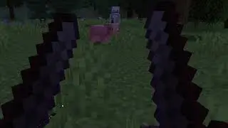 when you find out dual wield works in MCVR