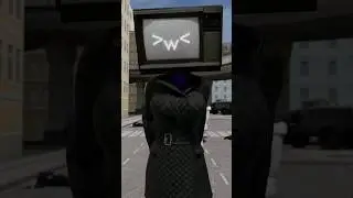 TV Woman saves Camera Man