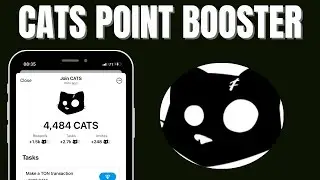 Do this to boost your $Cats Points.