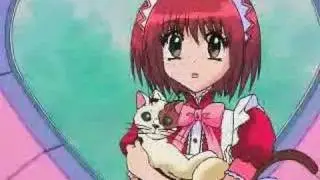 Rock Steady - Mews