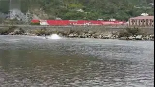 kapitán Morgan