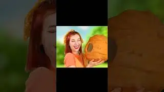 मधुमक्खी हमला (Madhumakhi hamla)