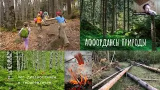 Создание и роль (значение) поддерживающей среды в двигательном развитии  ребенка