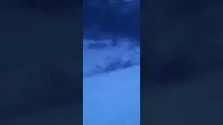 20 ноября 2023 г.