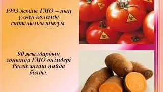 Урок  34 - ГМО концепциясы