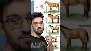 Evolution denial #nature #science #dinosaurs #biology #evolution #education #animals #shorts #viral