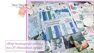 Обзор дизайнерской посылки для СП «Новогодний хоровод»