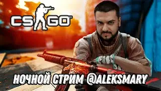 ALEKSMARY CS:GO СТРИМ| ИГРАЕМ С ПОДПИСЧИКАМИ
