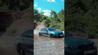 Пиранья! 