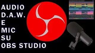Obs - Registrare audio da D.A.W e microfono (Windows)