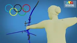 ARCHERY - Olympic Recurve Bow - Sample POC