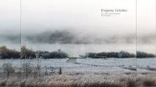 Evgeny Grinko - Ice for Aureliano Buendia [Full Album]