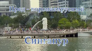 Пред - корона вирусный СИНГАПУР