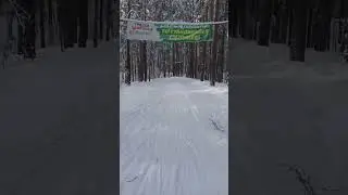 с мостика на лыжах в лесу