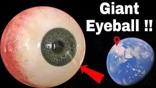 Top 2 Giant Eyeball Found on Google Maps.. 