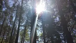 Песня "Говорит командир корабля..."