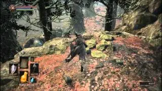 Dark Souls 3 - Где найти {Книга о Пиромантии Великой Топи}