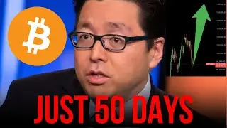 Tom Lee: BITCOIN TO $200,000 IN JANUARY?!!! (realistic analysis and QnA)