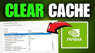 How To Clear NVIDIA Shader Cache (Quick Solution)