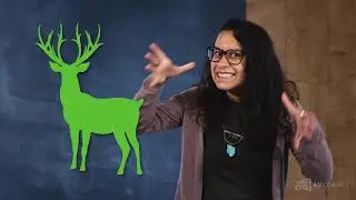 American Sign Language - Animals