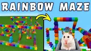 Hamster in Roller Coaster Rainbow Maze in Minecraft