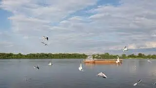 Муром река Ока