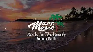 Summer Martin  - Birds In The Beach (No Copyright Music)