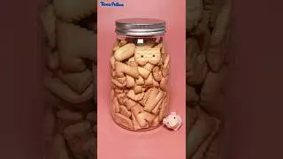 The greedy pig ate all the crackers