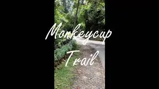Penang Hill Monkeycup Trail