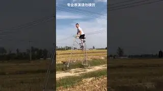 Never seen such a long cycle 