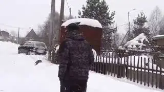 я и мой хвост. команда 