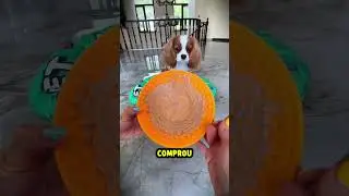 I adopted a puppy, but all he thinks about is eating... 🐶😅