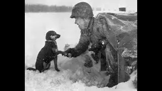 25 Interesting Historical Photos Make You Want To Go Back In History