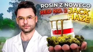 Jack Haze - Czy Żywica Ma Więcej Mocy od Suszu? Sprawdzamy Skład Kannabinoidów!  [PL/ENG]