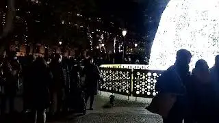 Plaza Cibeles