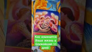 В БЛИЖАЙШИЕ 10 ДНЕЙ ВСЁ ИЗМЕНИТСЯ 🍀🙏❤️#ТАРОЭФИР #СЛИЛИТ  #ИСЦЕЛЕНИЕДУШИ #БЛАГО#КАРМА #МАТРИЦАСУДЬБЫ