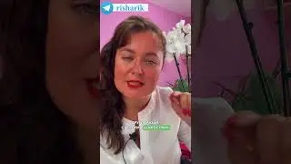 Мир не идеален и это нормально!