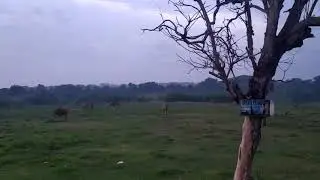 Еще один пляж на западной части острова