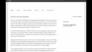 International SEO - WordPress