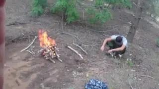 Поход в сосновый бор.