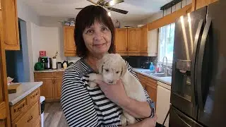 This Puppy Needs a Name!