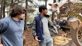 Touring My Friend’s INSANE ANIMAL COLLECTION!!!!