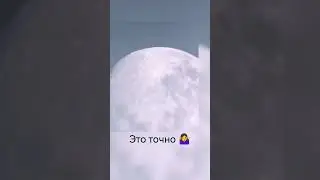 Как-то так спрашивают... 🙄 Что вот ответить без великого русского мата? 🤔 #вопросответ #лунатики