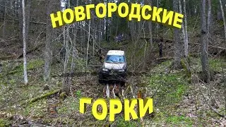 Пятый день. Жарим Грибы УБИЙЦЫ или просто СТРОЧКИ